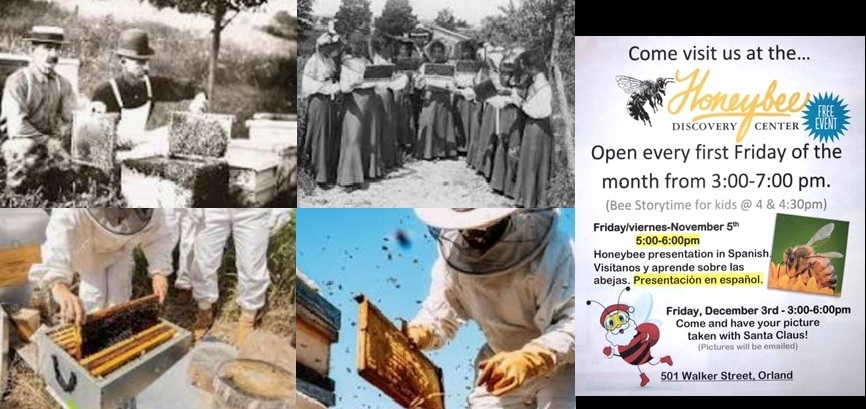 Beekeeping in Glenn County, past and present