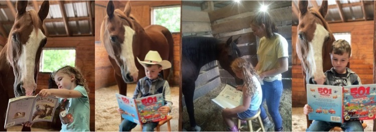 reading to horses 