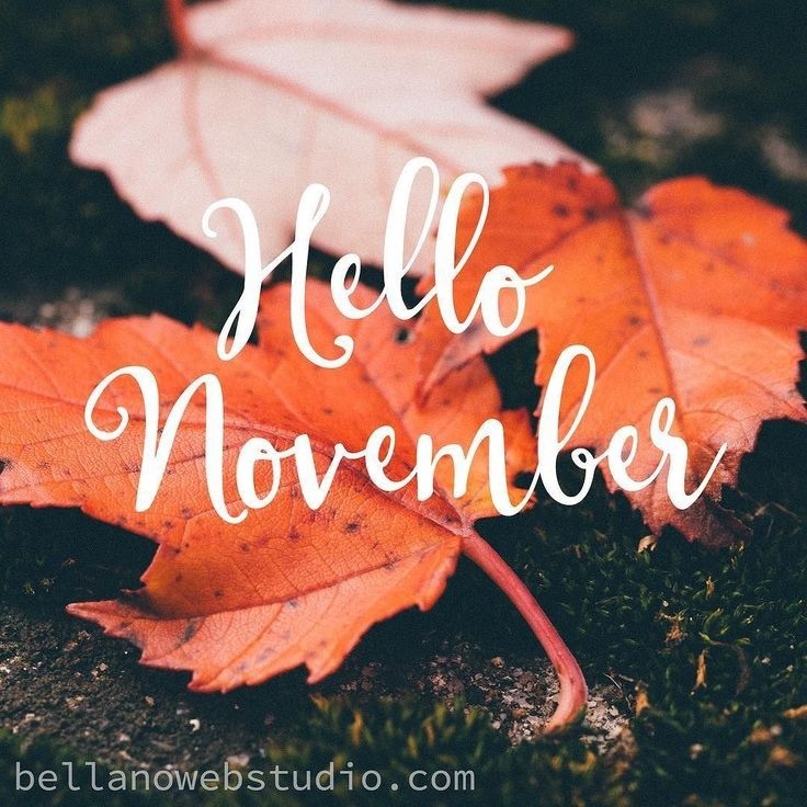 hello November 