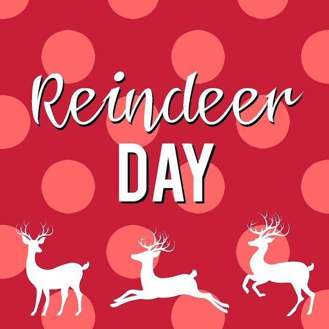 reindeer day